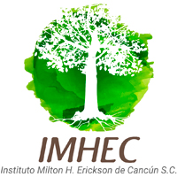 Instituto Milton H. Erickson de Cancún S.C