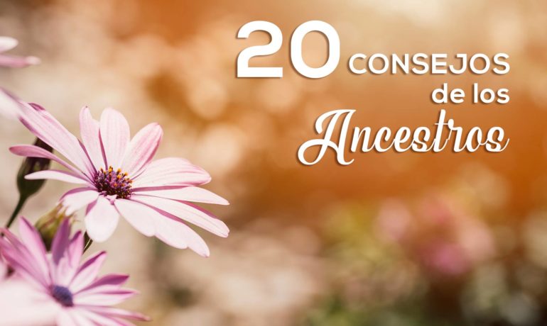 20 Consejos de los Ancestros
